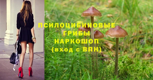 хмурый Новодвинск