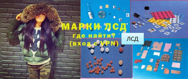 гашик Новокубанск