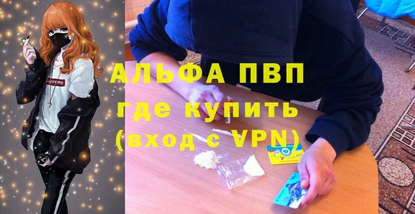 гашик Новокубанск