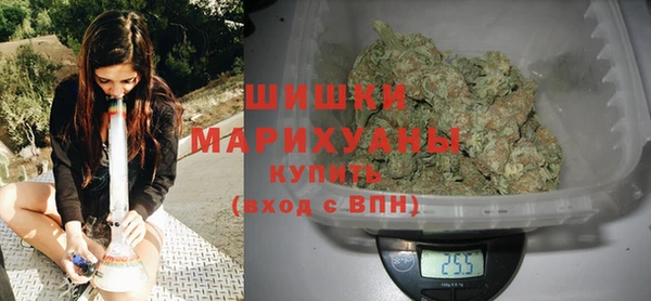 гашик Новокубанск